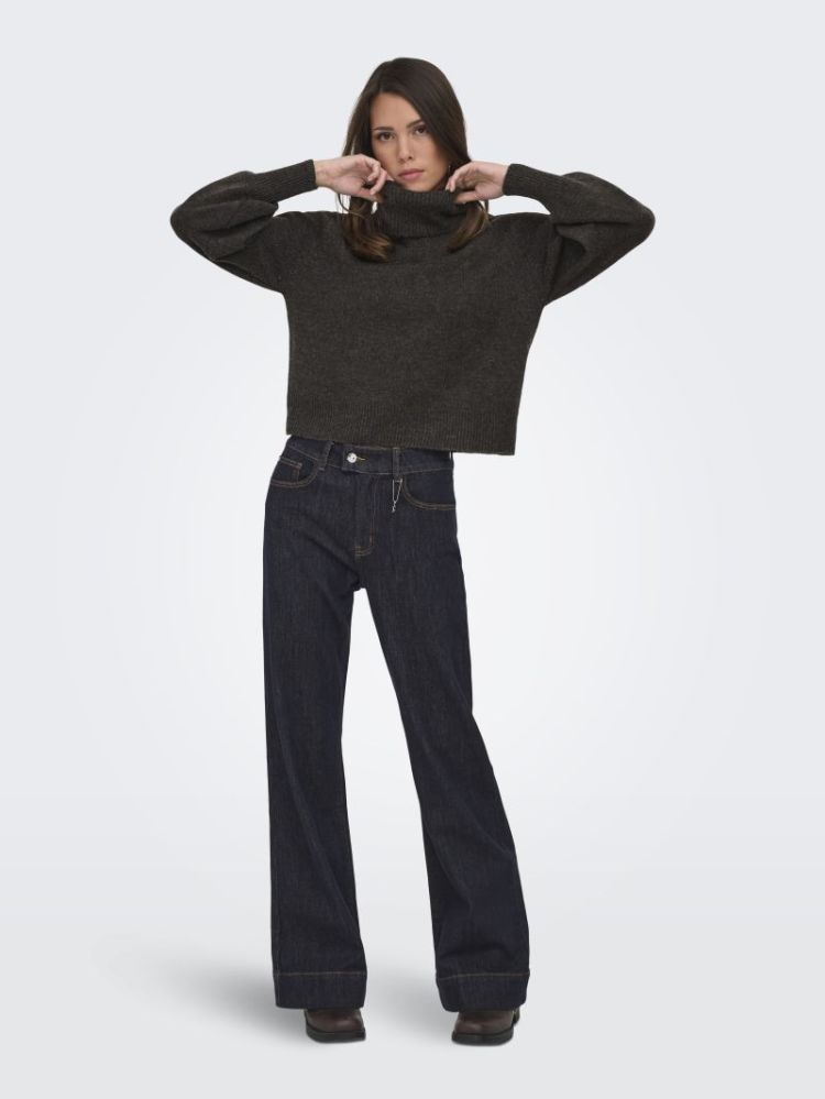 ONLOLIVIA LS ROLL NECK CC KNT 206971001 Mole/