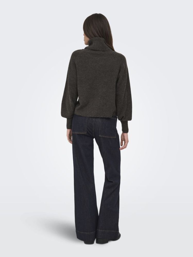 ONLOLIVIA LS ROLL NECK CC KNT 206971001 Mole/