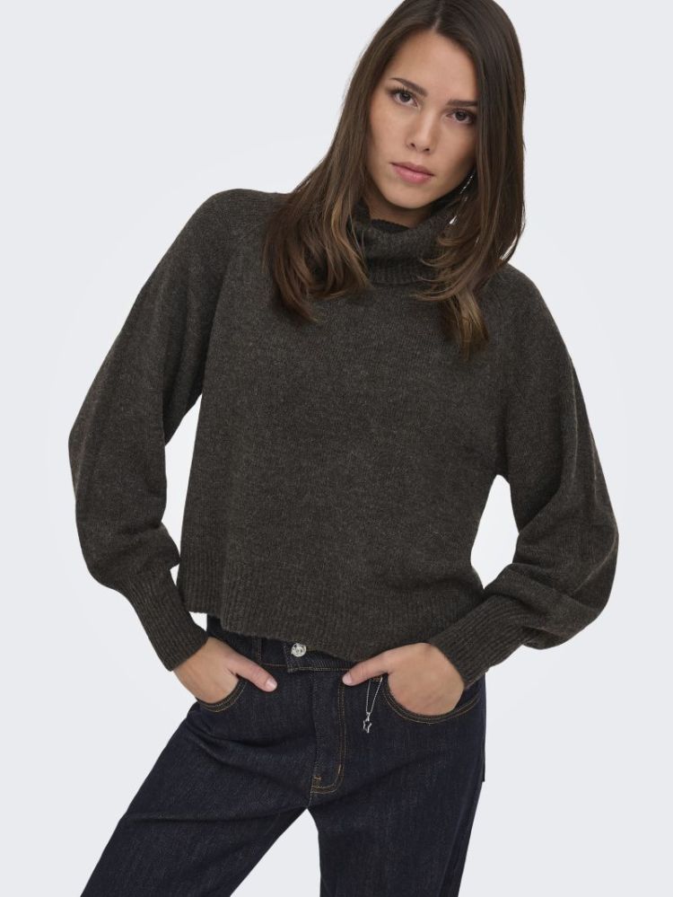 ONLOLIVIA LS ROLL NECK CC KNT 206971001 Mole/