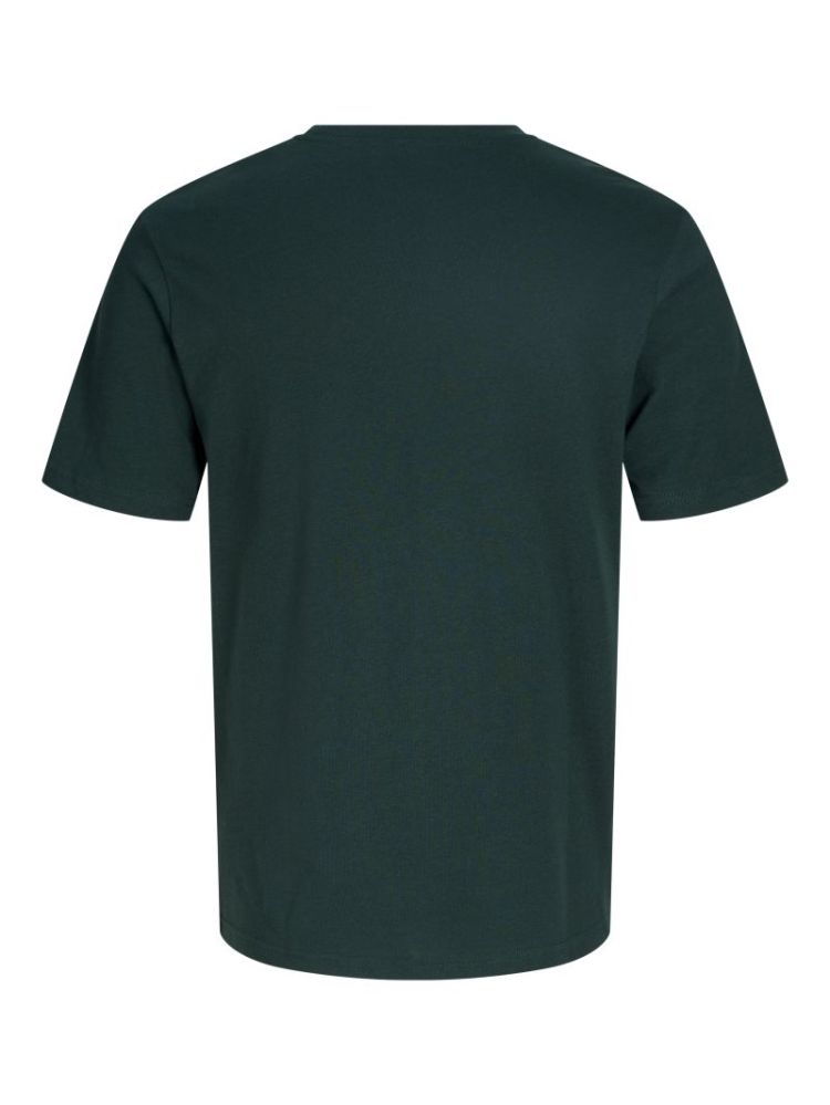 JJBUSTER TEE SS CREW NECK BTS 177578 Scarab