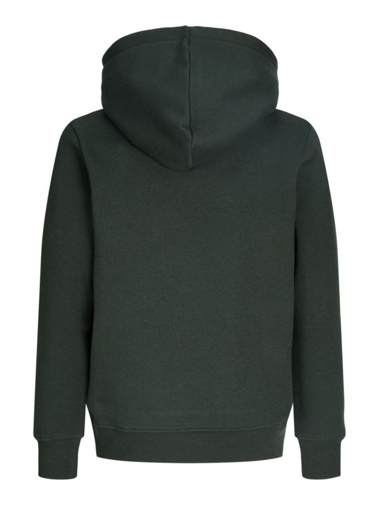 JJBUSTER SWEAT HOOD BTS SN JNR 177578 Scarab