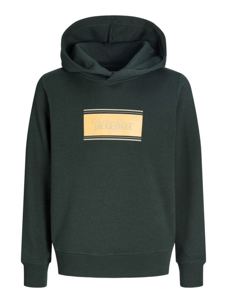 JJBUSTER SWEAT HOOD BTS SN JNR 177578 Scarab