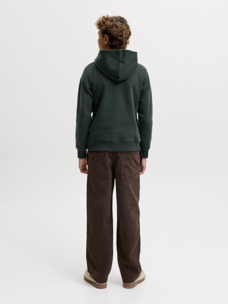 JJBUSTER SWEAT HOOD BTS SN JNR 177578 Scarab