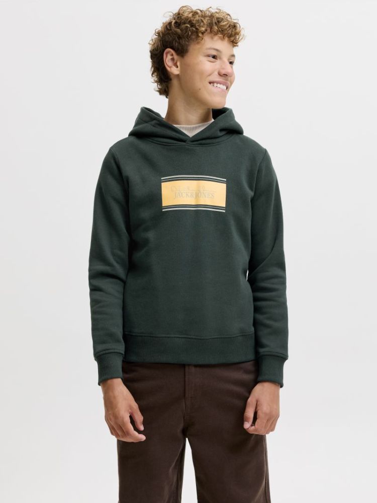 JJBUSTER SWEAT HOOD BTS SN JNR 177578 Scarab