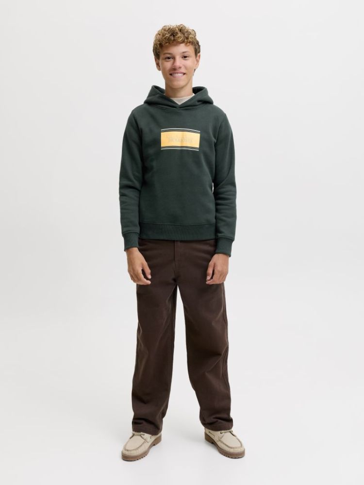 JJBUSTER SWEAT HOOD BTS SN JNR 177578 Scarab