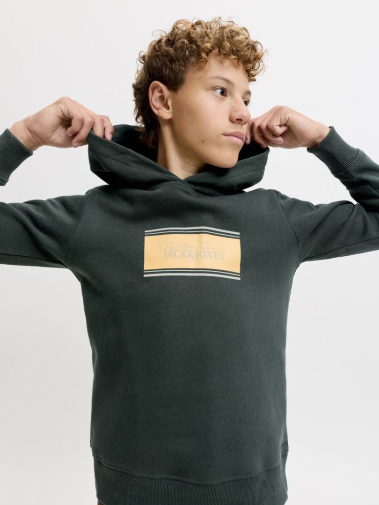 JJBUSTER SWEAT HOOD BTS SN JNR 177578 Scarab
