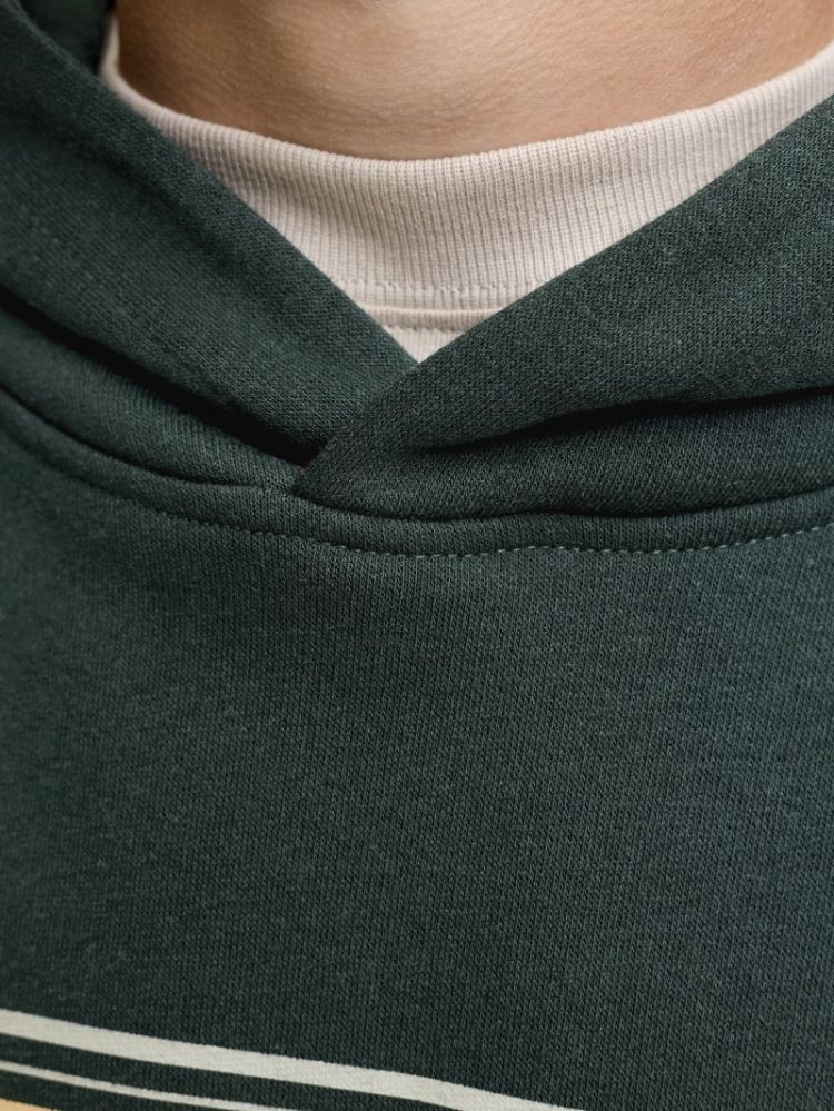 JJBUSTER SWEAT HOOD BTS SN JNR 177578 Scarab