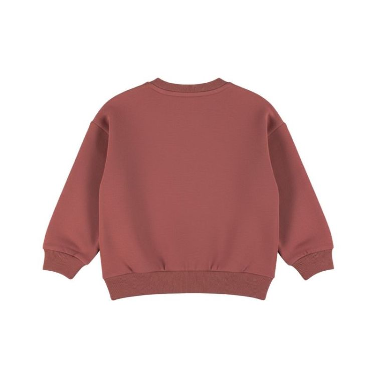 baby jongens Roan Rouge 1816