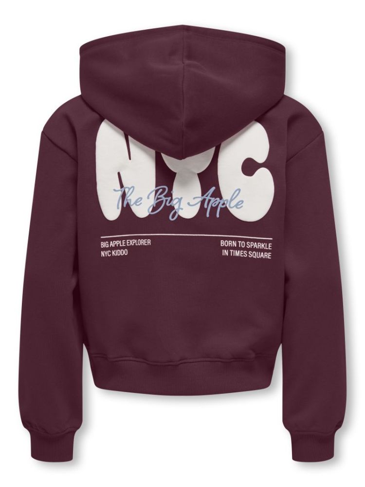 KOGLIANA BOXY LS HOOD PRINTED 177912002 Fig/N