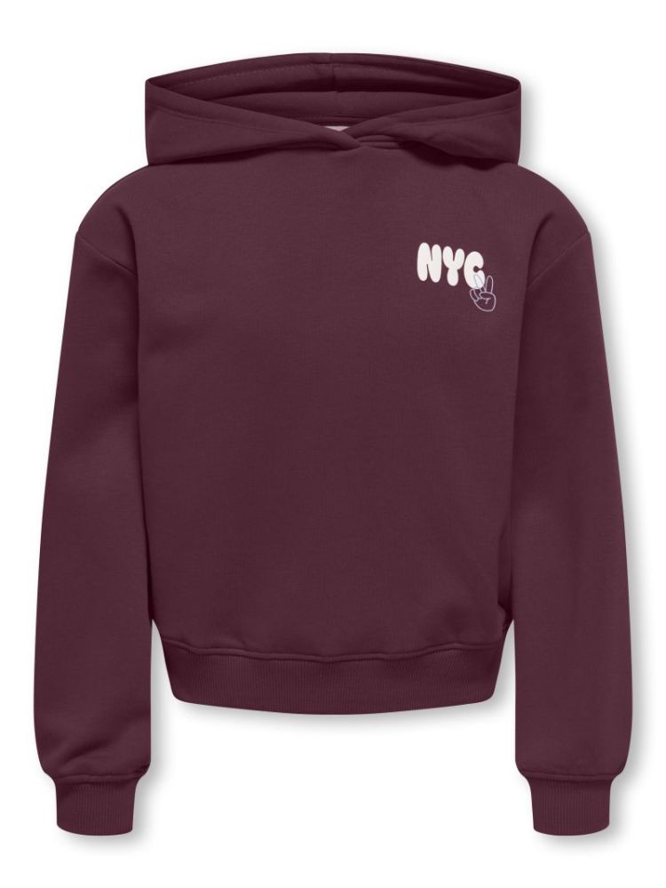 KOGLIANA BOXY LS HOOD PRINTED 177912002 Fig/N