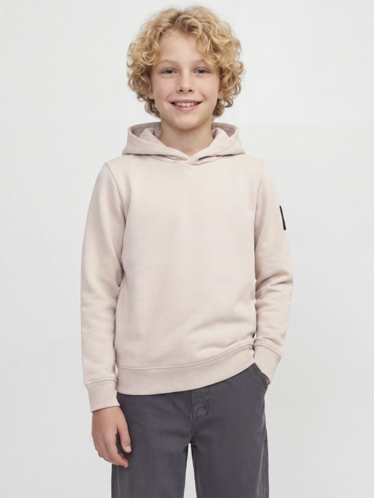 JJCLEVELAND SWEAT HOOD SN JNR 176631 Moonbeam