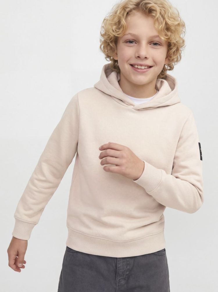 JJCLEVELAND SWEAT HOOD SN JNR 176631 Moonbeam