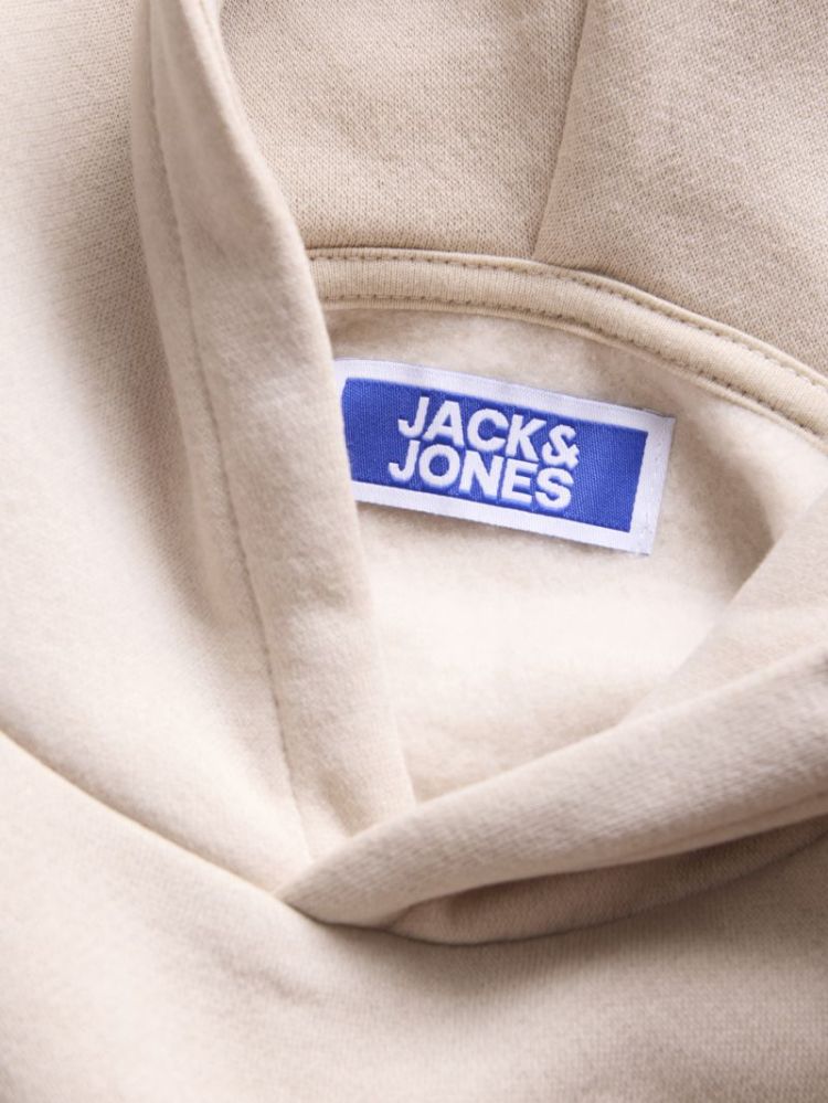 JJCLEVELAND SWEAT HOOD SN JNR 176631 Moonbeam