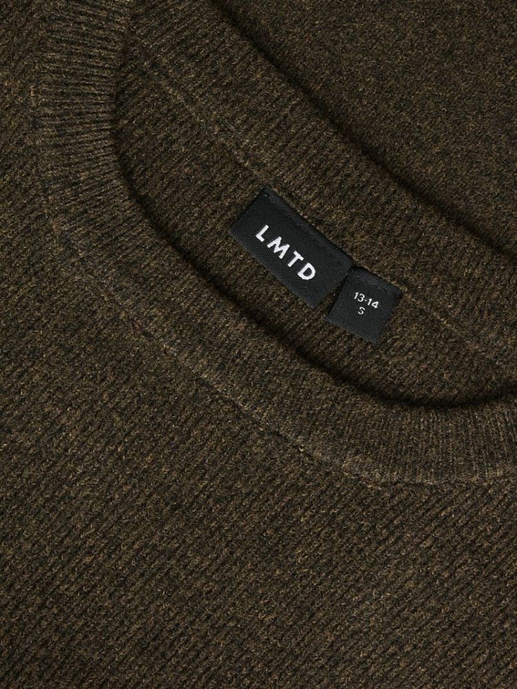 NLFHEAVY LS SHORT FITTED KNIT 301869 Delicios
