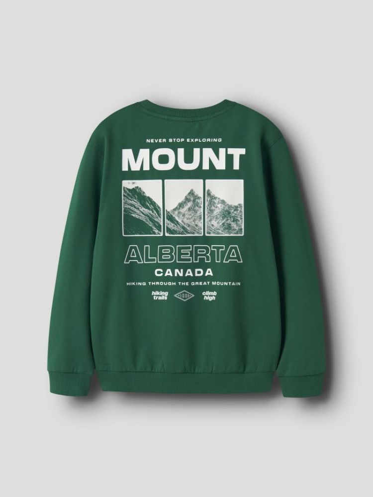 NKMOBUSTER LS NREG SWEAT BRU B 279135 Evergree