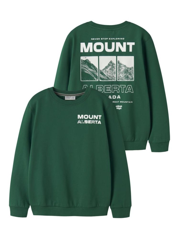 NKMOBUSTER LS NREG SWEAT BRU B 279135 Evergree