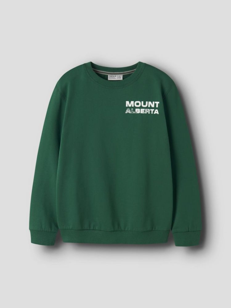NKMOBUSTER LS NREG SWEAT BRU B 279135 Evergree