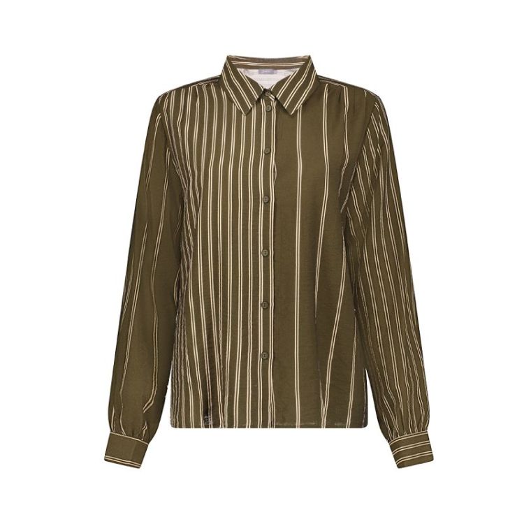 000560 olive